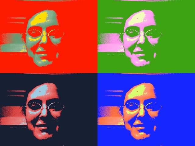 Warhol webcam